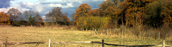 sites-carparkfield-panorama